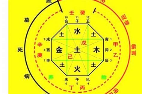 生肖命理|生辰八字算命、五行喜用神查询（免费测算）